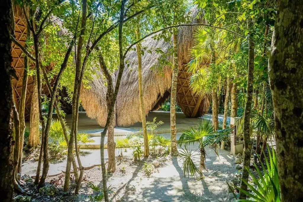 Apartmán Jungle Lounge Barefoot Luxury 3Br Two Level Penthouse With Pool In Luum Zama Tulum Mexiko